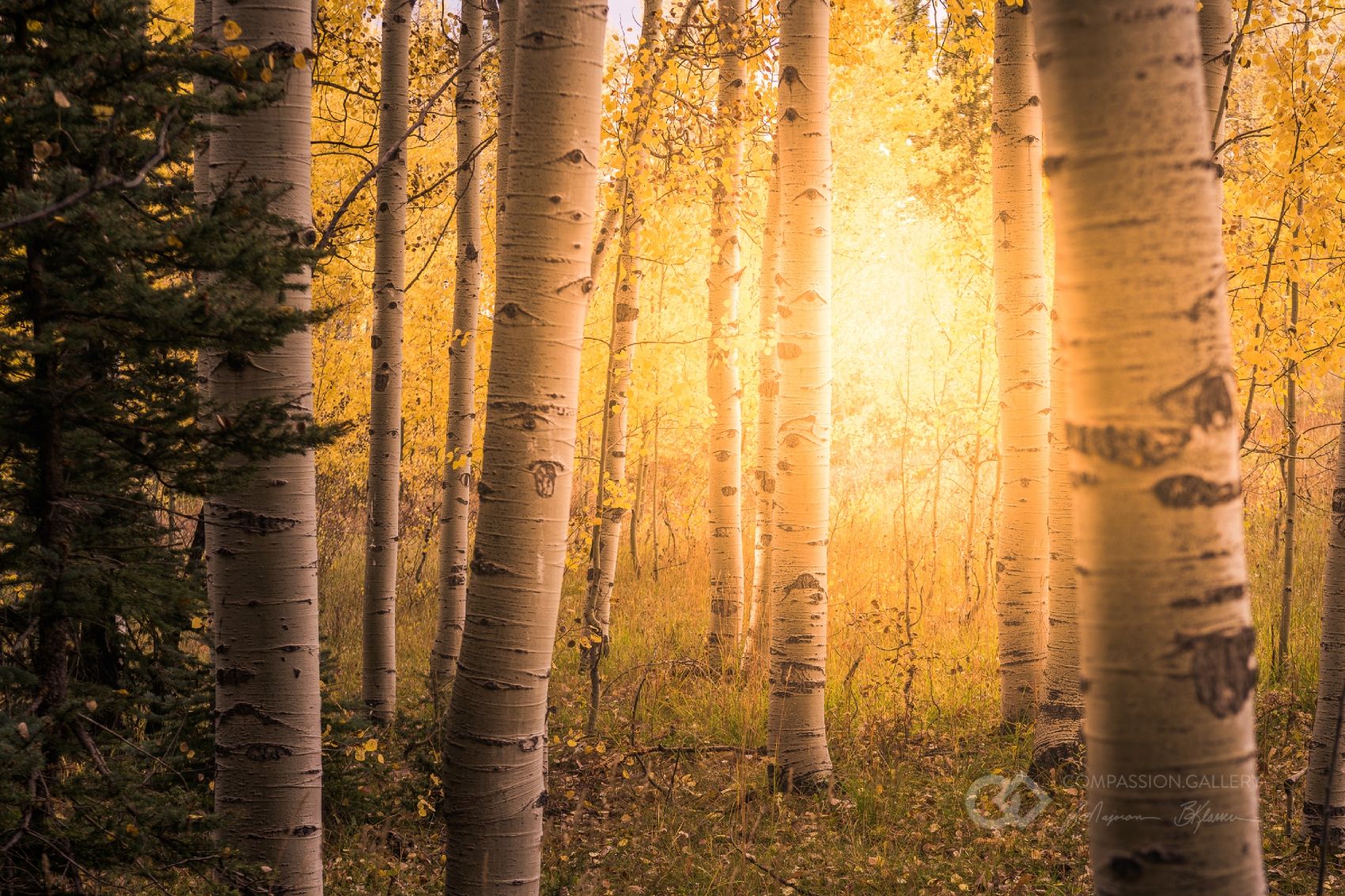 San Juan National Forest, Colorado